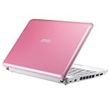 Wind U100 10 Pink