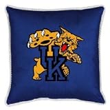 Kentucky Wildcats Sideline Pillow (18x18) NCAA