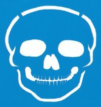 Amazon.com: SKULL STENCIL Snazaroo Face Painting Stencil: Toys &amp; Games