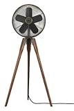 Fanimation FP8014OB Arden Oil-Rubbed Bronze 14