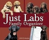Just Labs Family Organizer 2006 Calendar (Just)