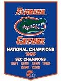 Florida Gators 24x36 Dynasty Wool Banner