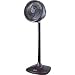 Kitchen & Housewares : Holmes HASF-99 10-Inch Velocity Blizzard Stand Fan