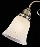 Emerson G36 Shade