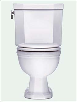 "Porcher 70025 Elongated Wood Core Seat, White"