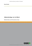 Säbelzahntiger am Ur-Rhein (German Edition)
