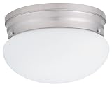 Review Lithonia Lighting 10975 BN M4 / Lithonia Lighting 10975 BN M4 Mushroom Shaped One-Light Fluorescent Flush-Mount Ceiling Fixture, Brushed Nickel with White Globe