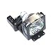 Electrified POA-LMP55 / 610-309-2706 Replacement Lamp with Housing for Sanyo Projectors