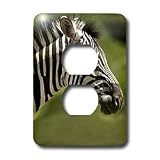 Wild animals - Zebra - Light Switch Covers - 2 plug outlet cover