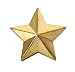 Trik Topz Stars Valve Caps " Gold