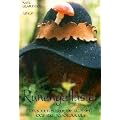 Runengefl�ster