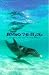 Beyond the Blue: Dolphins and Their Healing Powers