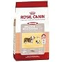 Royal Canin Medium Breed Bulldog (24)