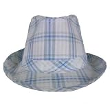 POWDER BLUE WHITE PLAID CRUSHABLE STRUCTURED FEDORA HAT