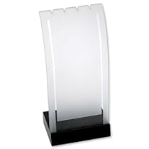 NEW Acrylic Jewelry Necklace Display with Wood Base