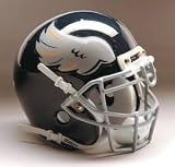 Rice Owls Schutt Mini Helmet