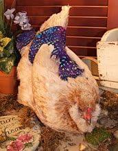 Chicken Diapers in Batik Fabric - Help the Women in Dominican Republic (Christmas Plaid, Medium - 7" - 12")