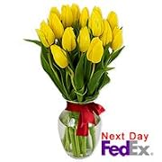 Floral Tulip - Gold Drops