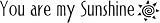 You are my sunshine - Wall & Window Words 24 inch