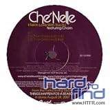 I Fell in Love With the DJ [12" VINYL]