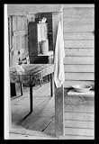 washstands antique:30 x 20 Stretched Canvas Poster Washstand in the Dog Run and Kitchen