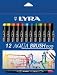 Lyra Water Brush Painting Art Set
