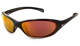 Nike Carbon Sunglasses with Grey Lens
