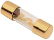 Raptor RAGU405 40 Amp Agu Fuses Gold 5Pk