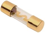 Raptor RAGU405 40 Amp Agu Fuses Gold 5Pk