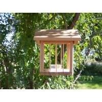 Oriole Jelly Feeder by Nova Bird
