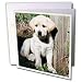 Dogs Labrador Retriever - Cute Yellow Lab Puppy - Greeting Cards-6 Greeting Cards with envelopes