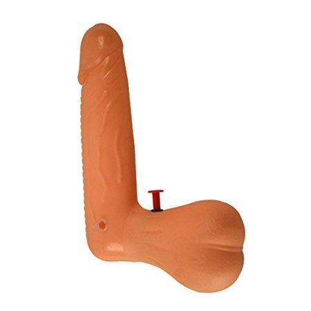 Willy water gun/penis water gun/ pecker dicky water pistol hens p…