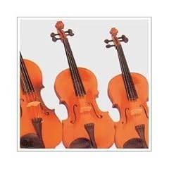 Bratsche 3/4 mit Bogen und formsch�nen "Oxford"-Koffer