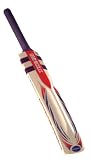 GN Phoenix Carbo Cricket Bat