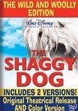 Shaggy Dog [DVD] [Region 1] [US Import] [NTSC]