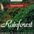 Sounds of Earth: Rainforest