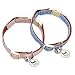 �y�e�B�I�@CAT COLLAR�@���ʁ@�J���[