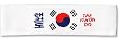 Headband - Korean Flag TKD