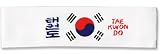 Headband - Korean Flag TKD