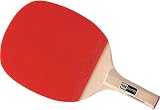 ティエスピー GIANT-PRO120 25370