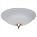 Hunter 28396 Energy Efficient Dual Bowl Light (30watt Circline Flourescent) Frosted