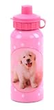 DNC Rachael Hale Samuel Aluminium Drinks Bottle, Pink