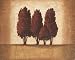 Embossed Cypress Art Poster - 30 x 24