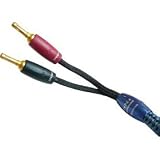AudioQuest Type 4 10 ft. single UST-UST G 10-foot single speaker cable