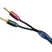 AudioQuest Type 4 10 ft. single UST-UST G 10-foot single speaker cable
