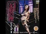 淫獣伝奇(5) 女豹の褥 [DVD]