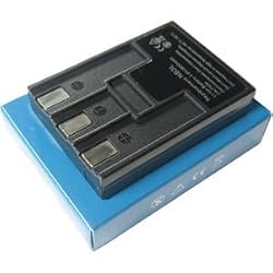 SANYO DB-L40 Battery Charger for Home & Car + EU Adapter by Pexell