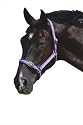 Roma Headcollar & Lead Rope Set-Navy - Cob