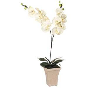 GKI Bethlehem Lighting 28-Inch White Orchid with LED Lights, Battery Operated by GKI Bethlehem Lighting