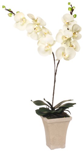 GKI Bethlehem Lighting 28-Inch White Orchid with LED Lights, Battery Operated